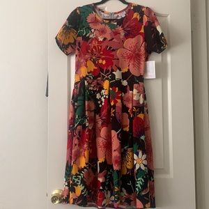 Lularoe Amelia dress
